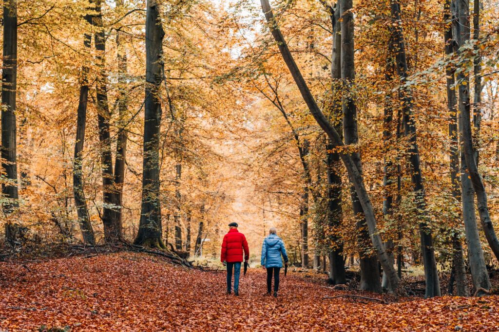 Comprendre les paroles de « — couple marchant dans la nature